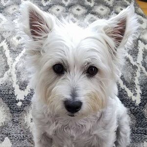 Meet your Posher, Kelly